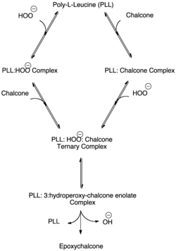 Ternary Complex Formation in the Juliá-Colonna Epoxidation