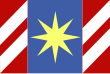 Vlag