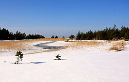 Winterlandschap bij Nõva