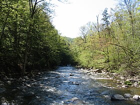 Chittenango Creek nach den Fällen im Mai.