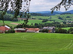 Blick auf Oberbernhards (vom Hang zur Milseburg aus gesehen)