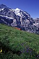 Blick auf einen Pendel­zug BDhe 4/8 von der Station Eiger­gletscher kommend