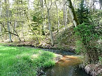 Steilufer entlang der Lohheide