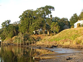 Blick auf Willton Bluff vom Ufer des Edisto, Dezember 2005