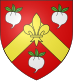 Coat of arms of Rabastens-de-Bigorre