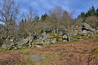 Das Felsenmeer Pierres Civières am Nordabhang des Maupuy