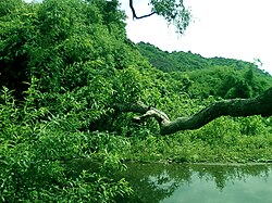 Eastern Ghats at Srungavarapukota