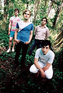 Grizzly Bear in 2006