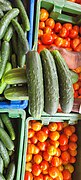 Harvested Cucumber among other vegetables