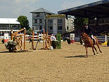 Teil des MVV-Reitstadion, in dem Hindernisse für eine Springprüfung aufgebaut sind. Ein Springreiter reitet mit seinem Pferd durch die Aufnahme. Im Hintergrund steht auf einem ein Plakat „50. Maimarkt-Turnier“.