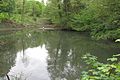 Rückhaltebecken unterhalb der Plinzenmühle