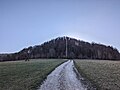 Blick auf den Unteren Leimberg mit Burgstelle