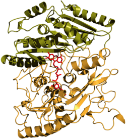 Vanillylalkohol-Oxidase (Penicillium simplicissimum)