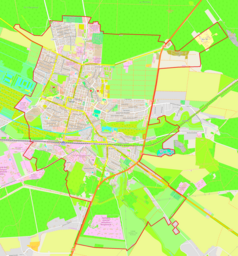 Mapa konturowa Brodów, blisko centrum po lewej na dole znajduje się punkt z opisem „Wielka Synagoga w Brodach”