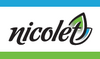 Flag of Nicolet