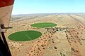 Luzerne Anbau in der Kalahari (2017)