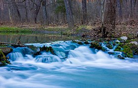 Rapids