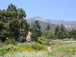 Santa Barbara Botanic Garden in Mission Canyon