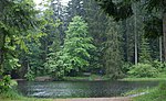 Bödelesee im Regen