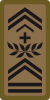 WO-4 - Chief warrant officer