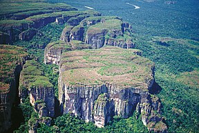 Tafelberg im Parque Nacional Natural Chiribiquete