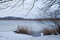 Schlosspark: Anleger am Ruppiner See.