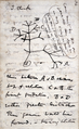 Entwicklungsbaum von Darwin, 1837