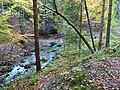 Gießenbach oberhalb von Untermberg.