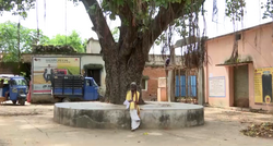 Haldhar Nag writes poetry under a banyan tree in Ghess