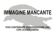 Immagine di Rimasuchus lloydi mancante