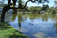 Bosques de Palermo