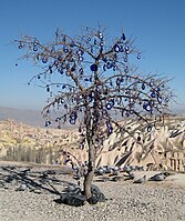 Cây với những nazars ở Cappadocia, Thổ Nhĩ Kỳ.