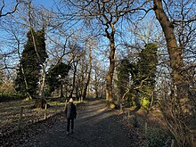 Woodland Paths, Abbey Wood, SE2, London--Photo-James O'Leary