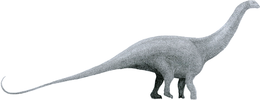 A Brontosaurus excelsus rekonstrukciója