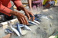 Fische trocknen in Camalehohoru