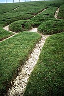 Nahaufnahme des linken Schrittbereichs mit Phallus, 2005