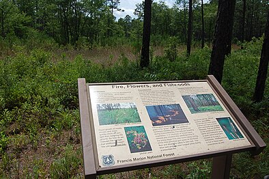 Information in Palmetto Trail.