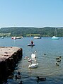 Der Greifensee