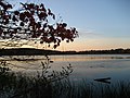 Image 6The Westborough Reservoir (Mill Pond) in Westborough, Massachusetts (from Nature)