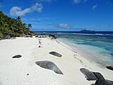 The Beach at Silhouette Island