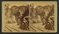 Stereoscopic view of silver ore train in Clear Creek Canyon, circa 1868