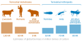 Image 27Biomass distribution of humans, livestock, and other animals (from Livestock)