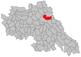 Țigănași – Mappa