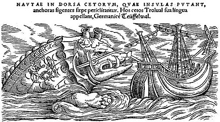 A whale as depicted by Conrad Gesner, 1587, in Historiae animalium