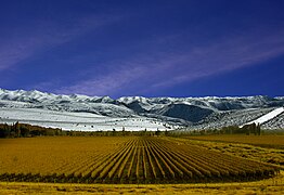Mendoza dünya üzerindeki şarap üretimi için en elverişli iklimlerden birine sahiptir.[30]