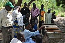 Beekeeping training.