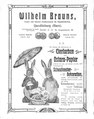 Produktkatalog von Wilhelm Brauns Haushaltsfarben, 1897.