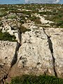 Schleifspuren auf dem Ta' Ċenċ Plateau (Gozo)