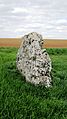 Menhir La grande Borne de Coulmier