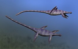 Elasmosaurus